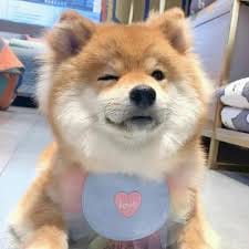 สารัชถ์ รัตนาวะดี profile picture